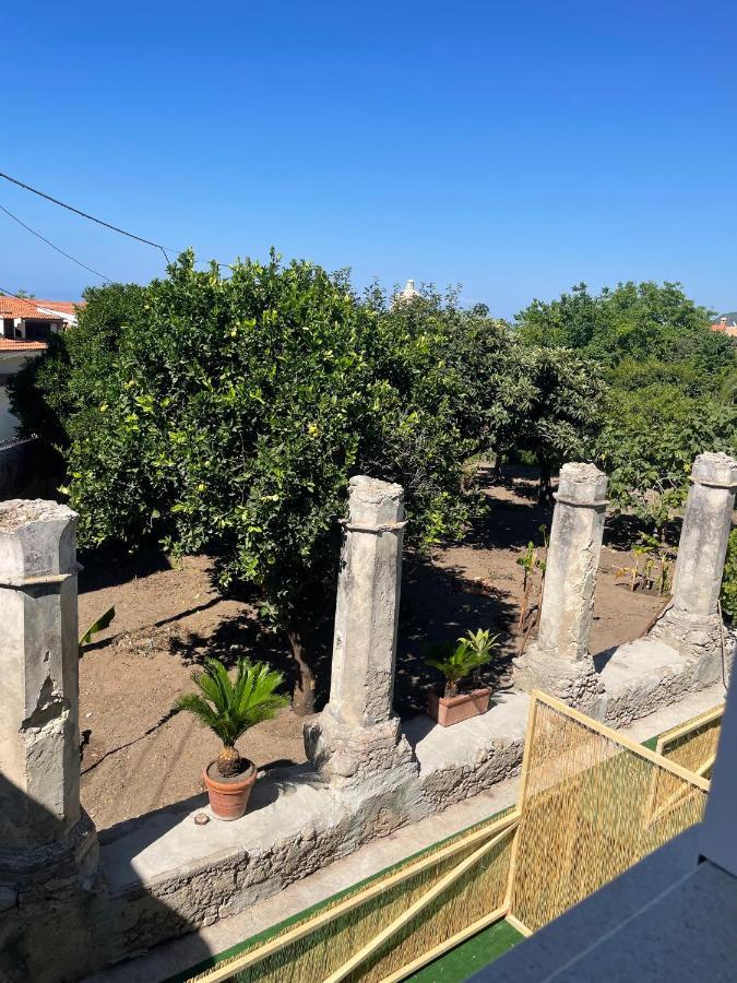 Tenuta La Torre *