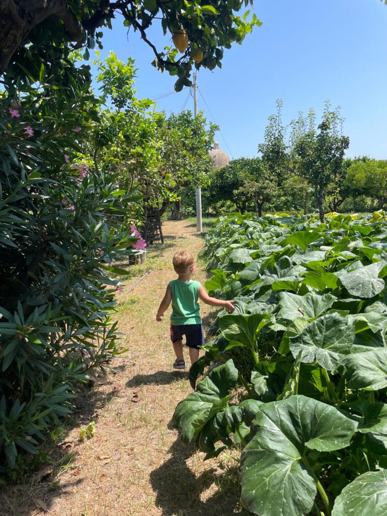 Tenuta La Torre Holiday home