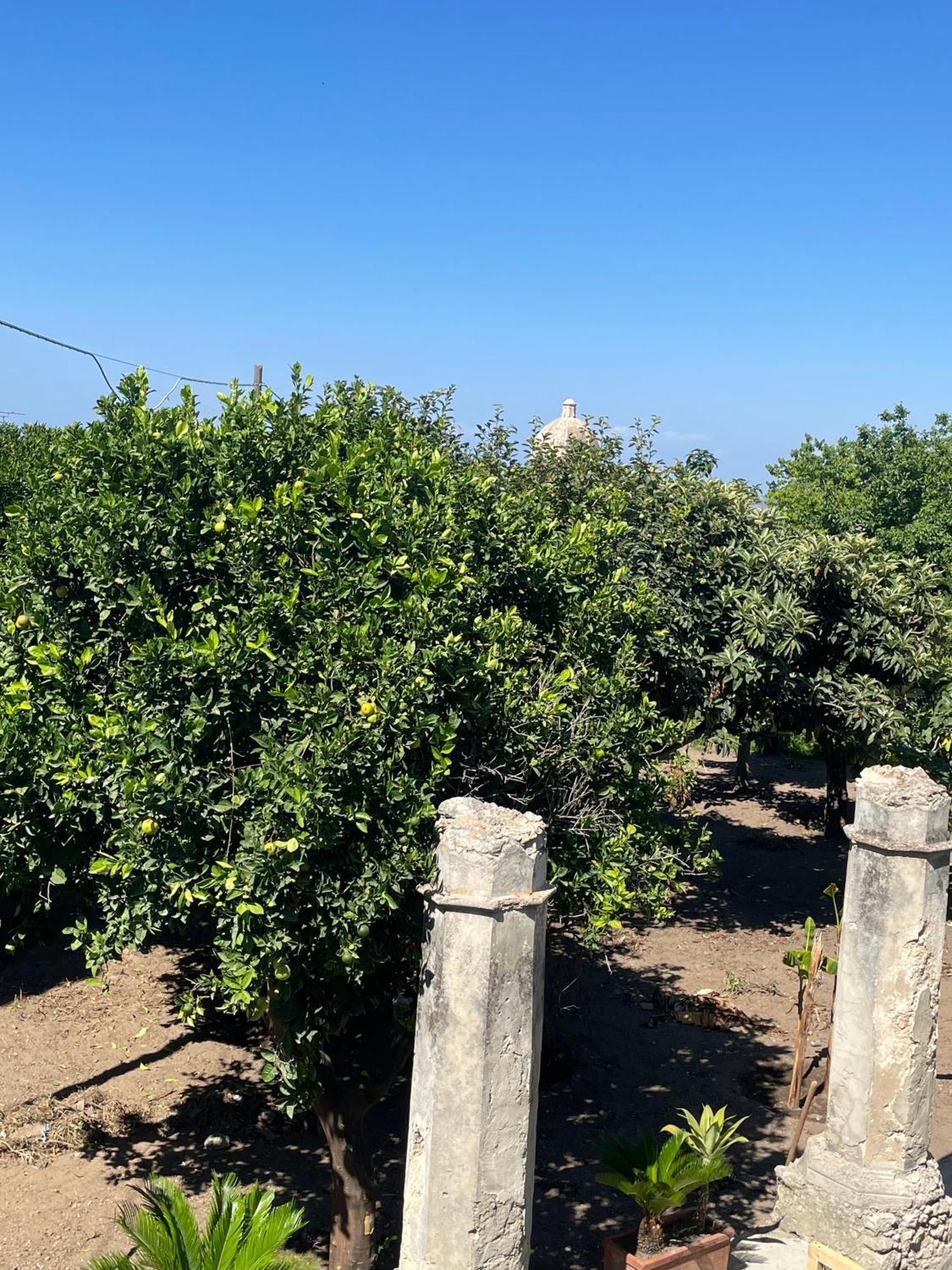Tenuta La Torre * Tropea